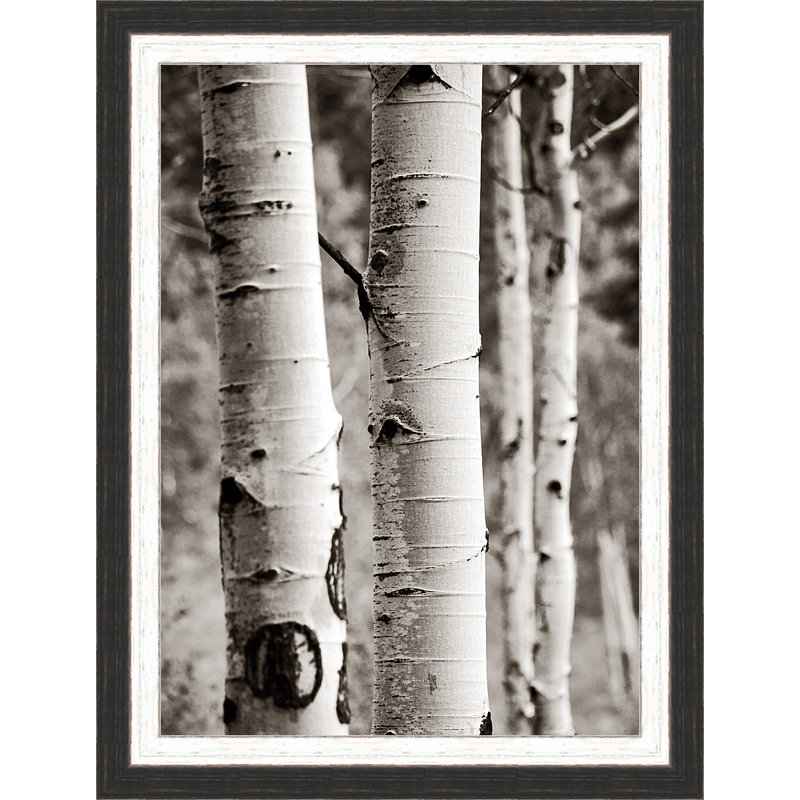 « aspens i », reproduction de photo encadrée
