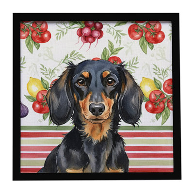 Longhaired Black and Tan Dachshund Vegetables Framed Metal Print