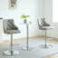 Pardeesville Swivel Upholstered Adjustable Height Counter Stool with Metal Frame-1756923572