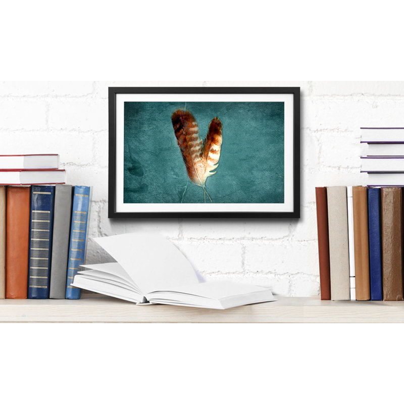 Two Feathers - Single Picture Frame Print, 40cm H x 60cm W