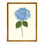Pressed Hydrangea Print by Sandy Whitaker-1724001467