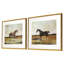 Equestrian III Framed Print