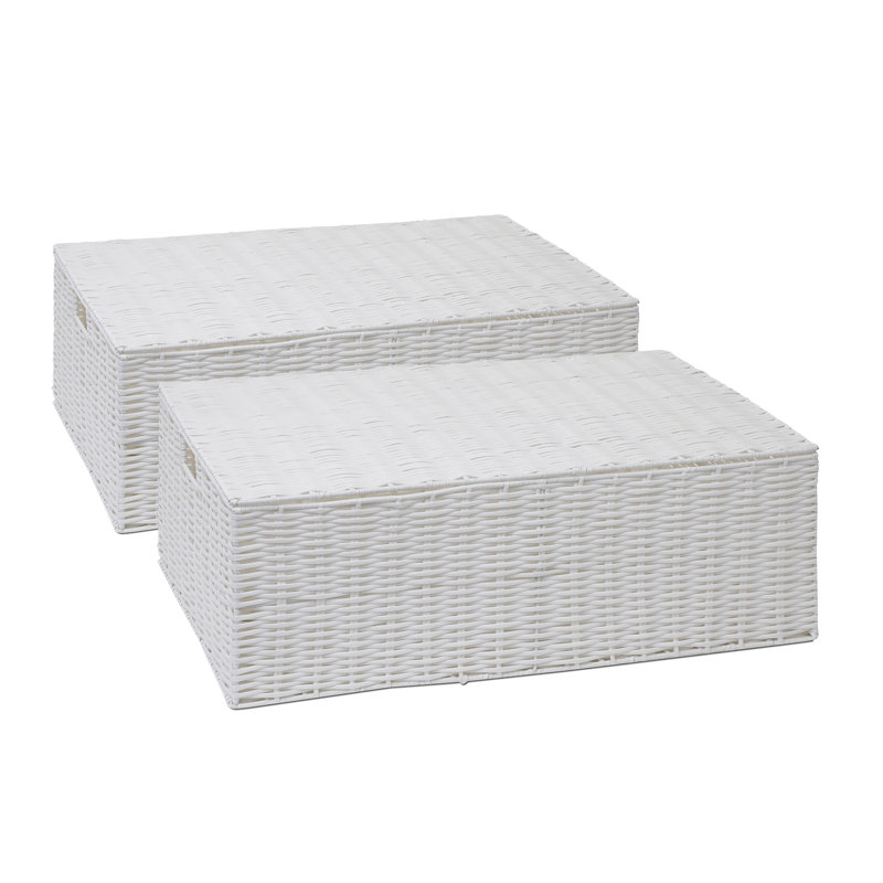Rebrilliant Plastic Decorative Bin