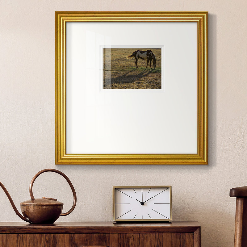 " Long Shadow ", 17" H x 17" W , Gold Framed Paper