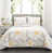 Yellow/Gray