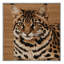  Tapis lavable Chausie-1871128077