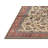 Oriental Indoor Rug-785376321