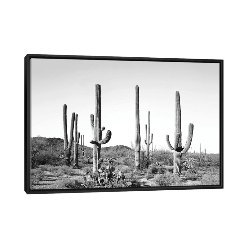 «Grey Cactus Land» par Sissi & Seb - impression encadrée, Toile avec cadre noir, H 18 po x l 26 po x P 1,5 po, Pas de tapis