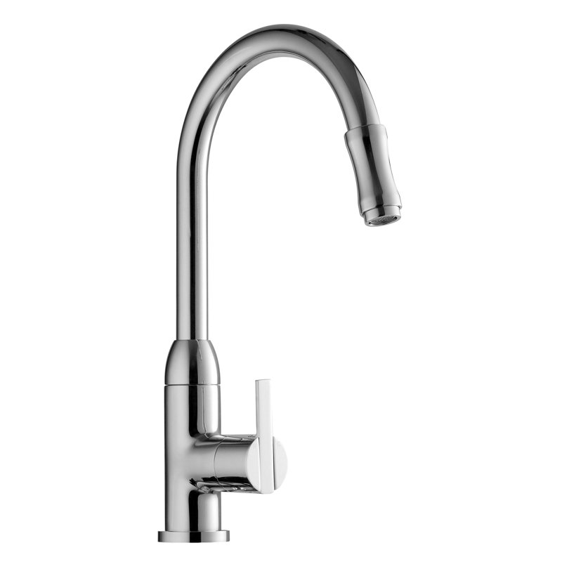 Belfry Kitchen Pull Out Kitchen Faucet