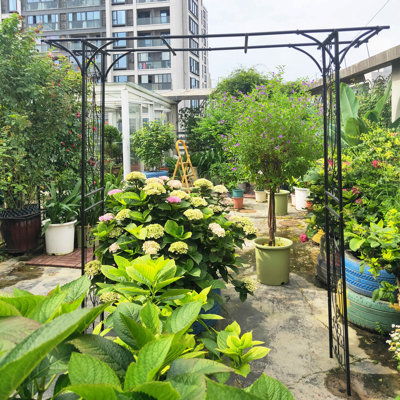 81"H Metal Garden Arch, Garden Arbour Trellis Climbing Plants Support Arch Outdoor Wedding Arch