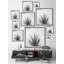 Agave Crown - Single Picture Frame Painting-1427291348