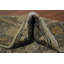 Tapis turc Oushak 3x4