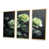 Toile naturelle avec cadre flottant
