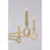 Noah 8-Light Chandelier in Gold Armory by Breegan Jane