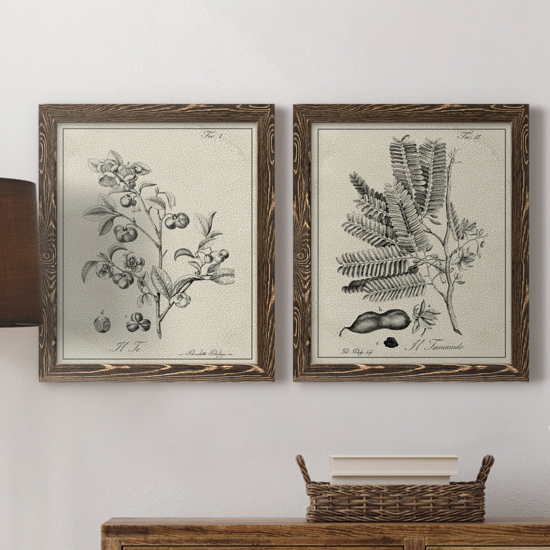 «Antique Black and White Botanical IV», ensemble de 2 reproductions d'art sur toile, H 24 po x l 36 po x P 1,5 po