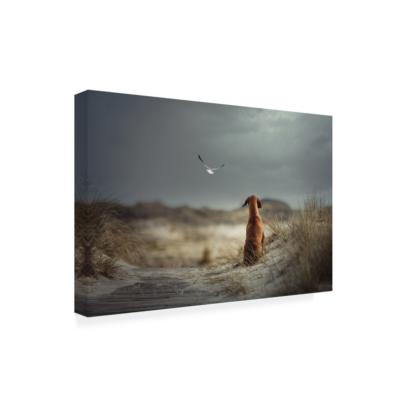 Art sur toile Heike Willers Freedom, H 30 po x l 47 po x P 2 po
