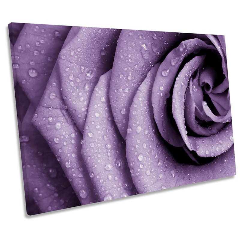 Purple Plum Rose Flower Floral Framed - Wrapped Canvas Print, 61cm H x 91.4cm W x 4cm D