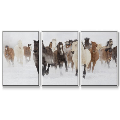 " Pasture Run " 3 - Pieces