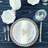 Cesta Palm Round Placemat