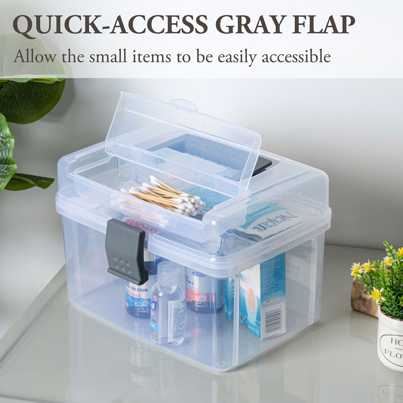 Rebrilliant Plastic Craft Case, Clear/Gray