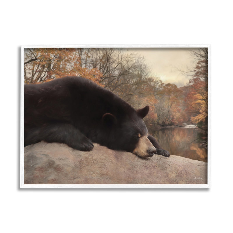 Ours au repos, automne, feuillage lac noir, estampe numérique par Lori Deiter, H 11 po x l 14 po x P 1,5 po
