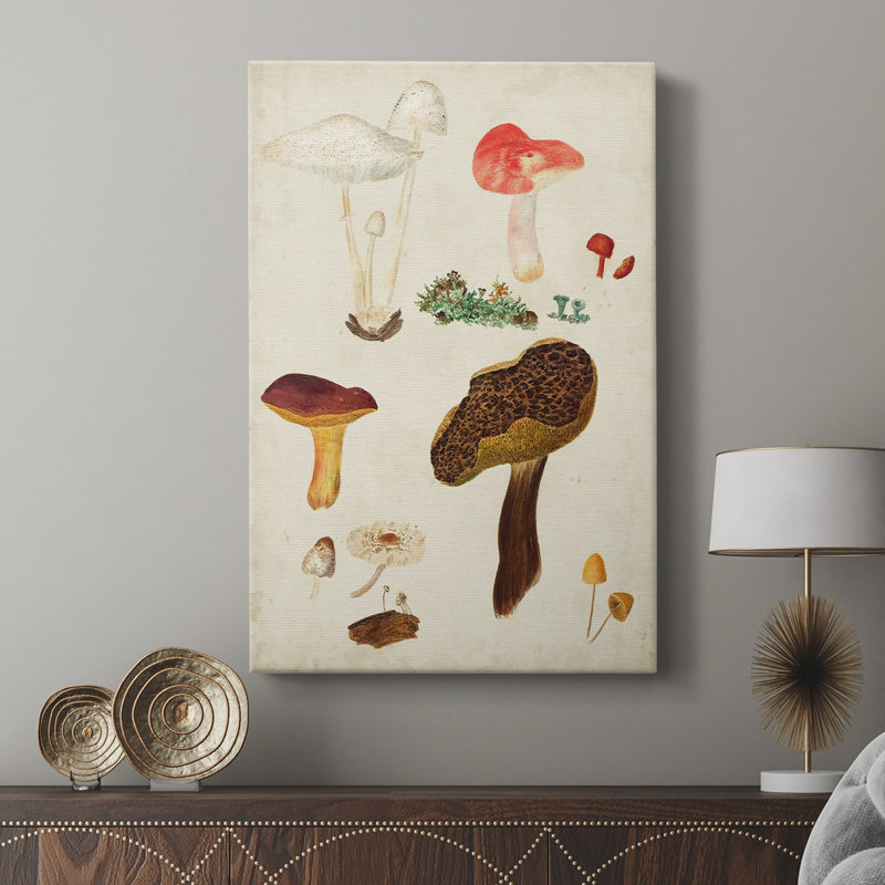 Mushroom Species XI - Gallery Cavas, H 18 po x l 12 po