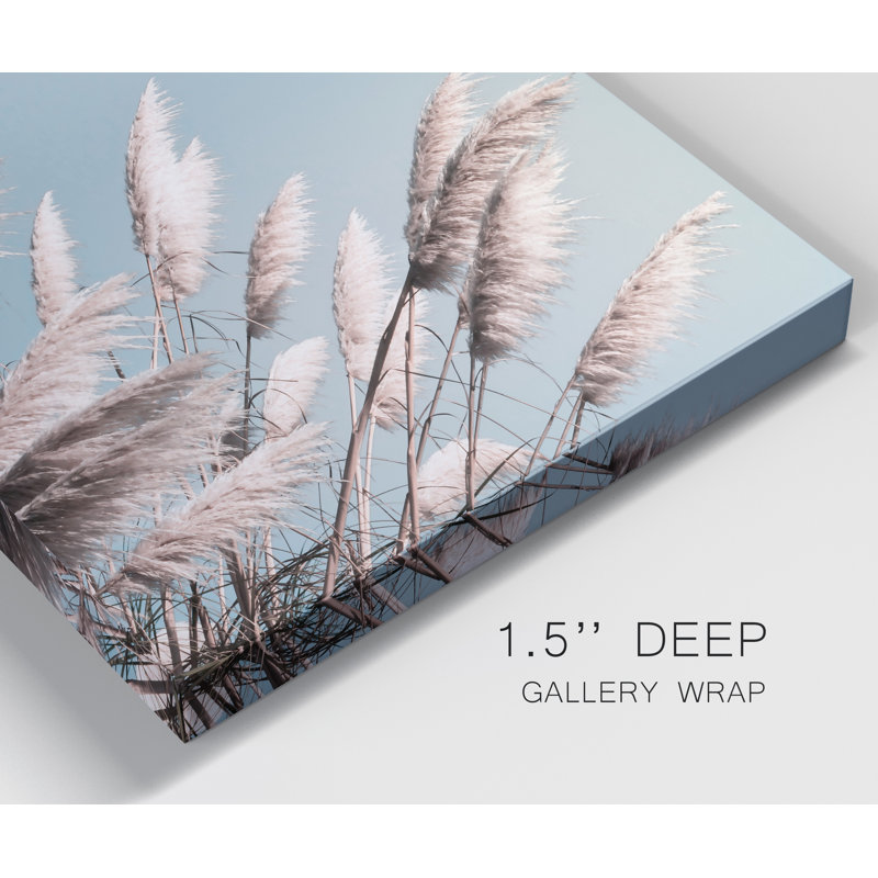 «Pretty Pampas II», reproduction de photo sur toile tendue, H 18 po x l 12 po x P 1 po