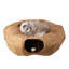 Agneau, chat, beignet, tunnel, brun clair-354657612