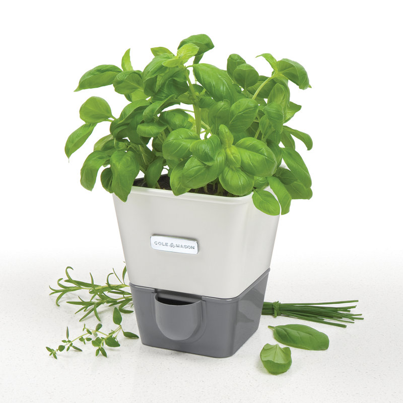 Herb Pot