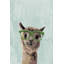 Green Glasses - Wrapped Canvas Painting-34927206