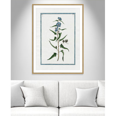 Colombe Shabby Elegance Botanical I - Art encadré avec fond perdu