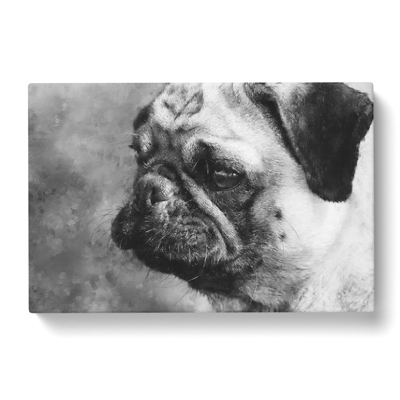 Pug Dog - Wrapped Canvas, 50cm H x 76cm W x 3cm D