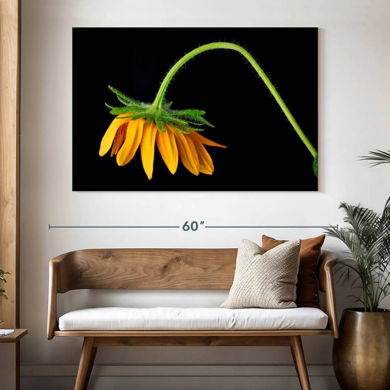 Tournesol Harnek
