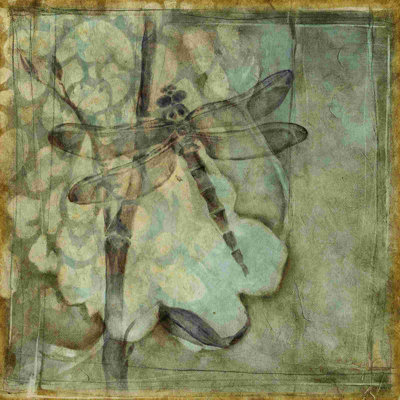 Small Ethereal Wings III by Jennifer Goldberger - Wrapped Canvas Painting