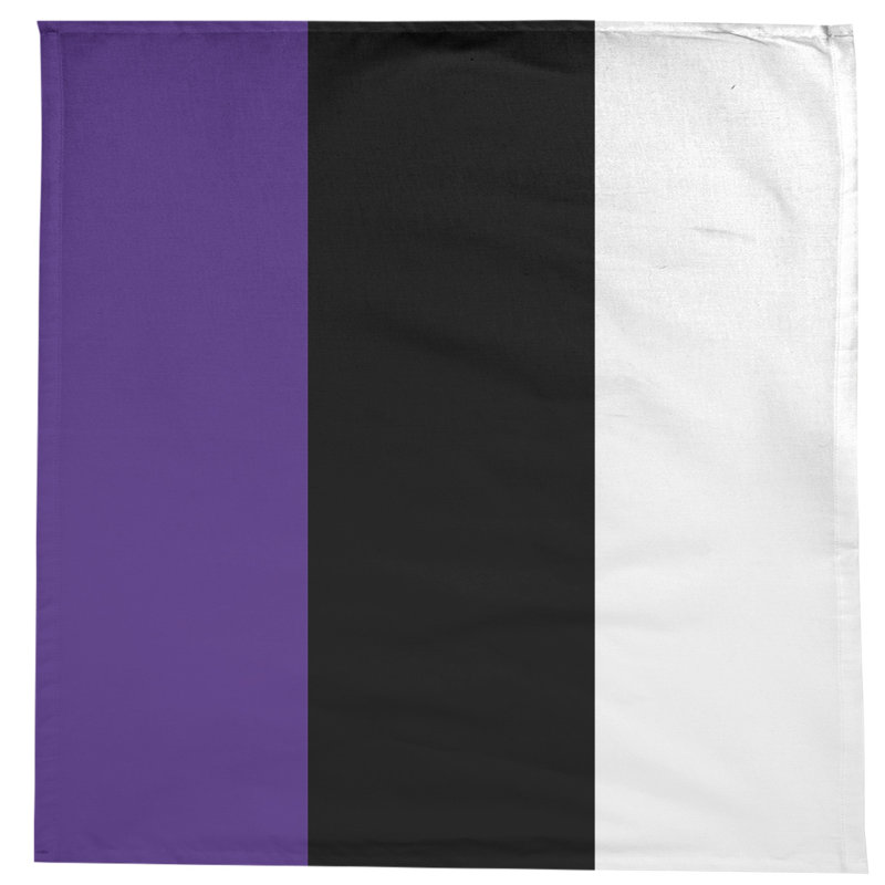 Nappe Clemson, Evanston Cat Purple/Black/White