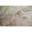 Oriental Area Rug-152184641