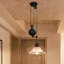 Gillispie 1-Light Tapered Pendant