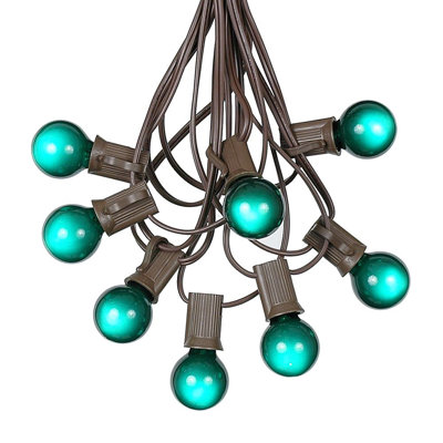 Outdoor 25 - Bulb 25'' Plug-in Globe String Light