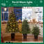 Arbre de Noël artificiel vert 3 lumières (2 pi, 3 pi, 4 pi) avec lumières