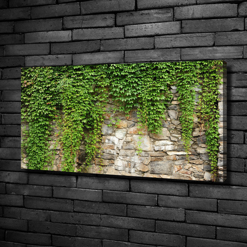 Green Ivy - No Frame Print on Canvas