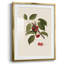 Vintage Floral Print XLIII -Framed Print