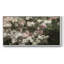 Botanical Series-CDX- Toile tendue avec châssis tendue, prête à être accrochée-1503255212-1503255211