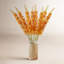 46-Inch Eremurus Stem