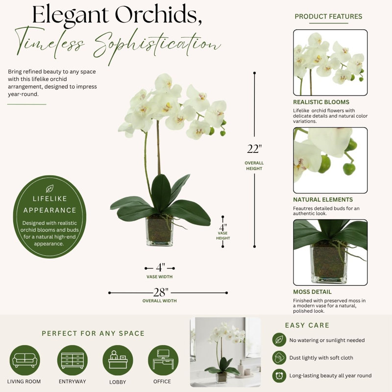 Orchid Arrangement in Square Glass Vase