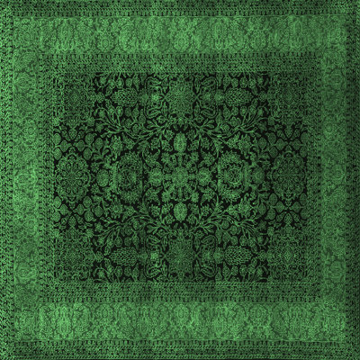 Alamgir Oriental Indoor Rug