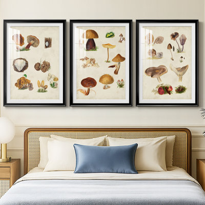 Mushroom Species I  -Custom Framed  Premium Print W Matt - 3 Pieces