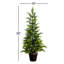 Arbre de Noël 3 pi Cypress