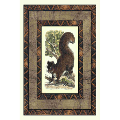 Rustic Squirrel