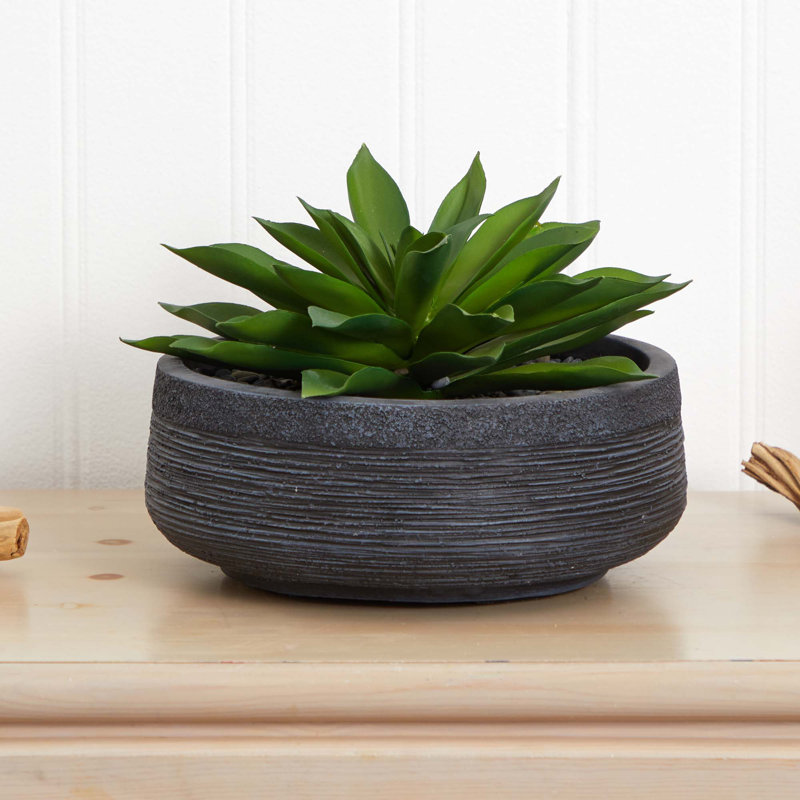 Plante de cactus artificielle 10" dans un pot de fleurs