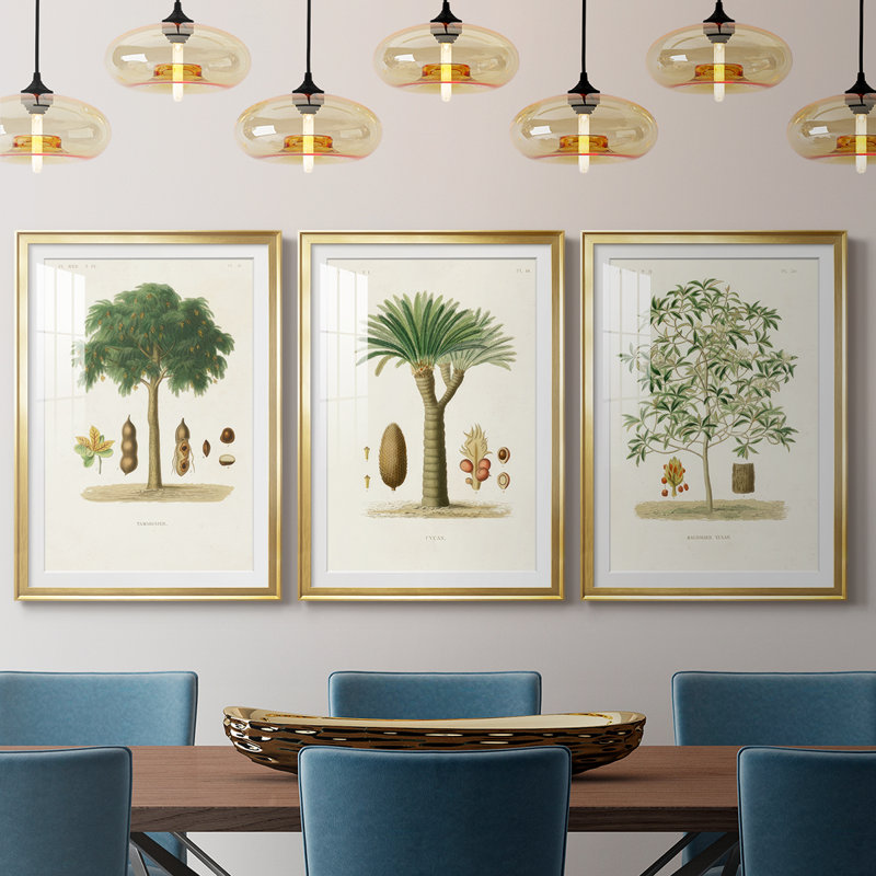 Arbre antique avec fruit - impression encadrée sur mesure de qualité supérieure matte - 3 pièces, H 21 po x l 30 po